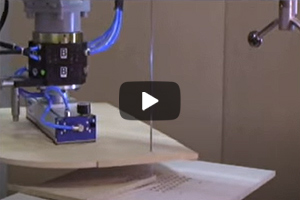 Bandsaw Cutting